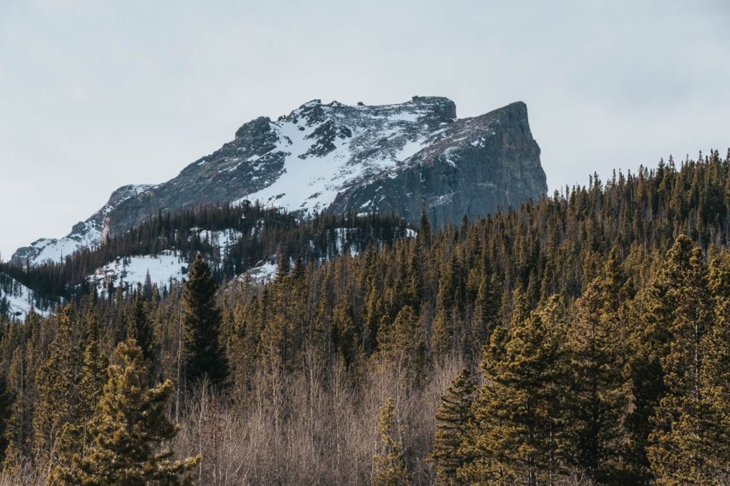 Morning View Morning View